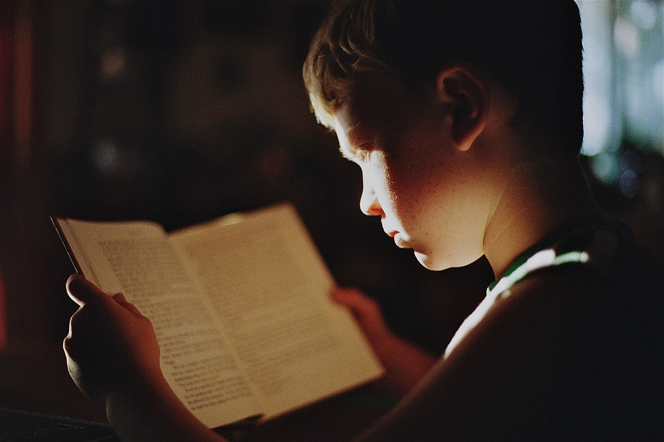 男の子, 本, 読む, 文学, 教育, 勉強, 勉強する, 知識, 集中, 学生, 子ども, 子供, 若いです