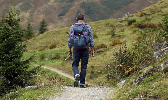 登山, 男, 歩道, パス, 山, 男性登山家, 放浪者